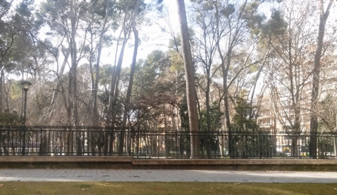El viento mantiene cerrados los parques de Albacete y otras localidades de la provincia