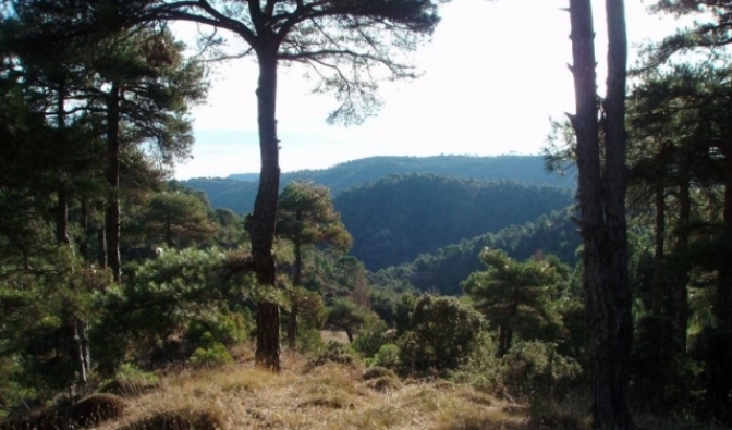 ‘Vuelta a los Tajones y la Juansomera’ en Paterna del Madera dentro de las rutas senderistas de la Diputación de Albacete