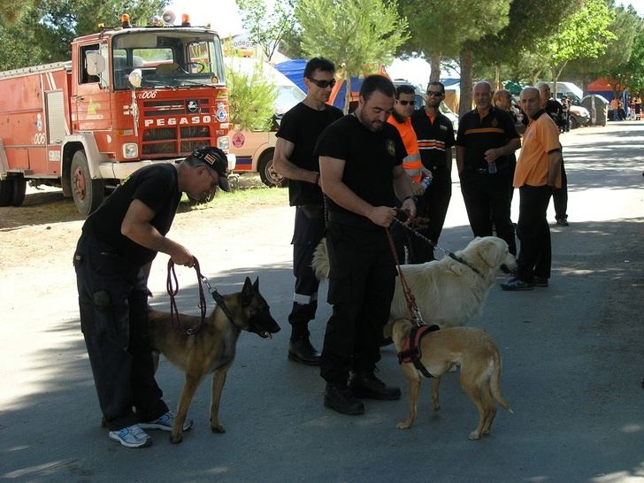 El 112 de Castilla-La Mancha coordinó el rescate de 15 personas perdidas en el monte mientras buscaban setas