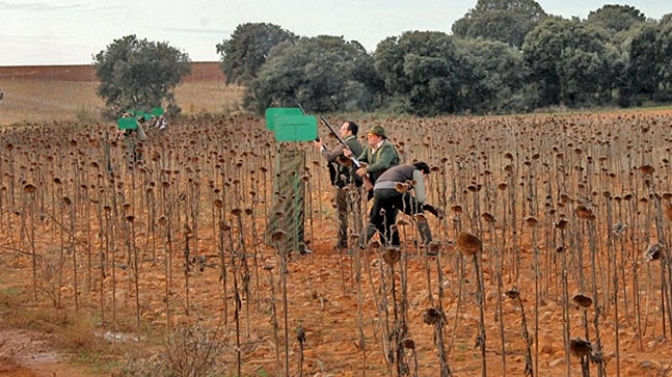 Muchos cazadores aprovechan el inicio de la media veda de caza en Castilla-La Mancha