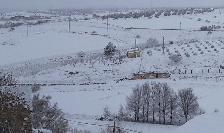 La nieve llegó a muchos puntos de Castilla-La Mancha con mucha intensidad. La imagen corresponde a la provincia de Albacete