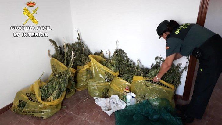 Intervenidos trece kilos de marihuana y detenidos dos hombres en Mota del Cuervo (Cuenca)