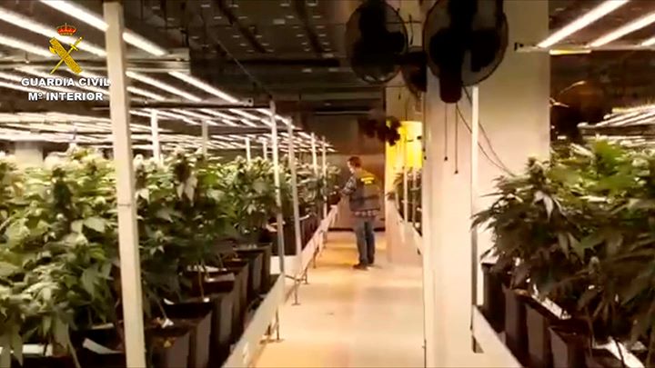 Detenidas 34 personas y 12,6 toneladas de marihuana intervenidas en una operación contra el tráfico de drogas en Barcelona