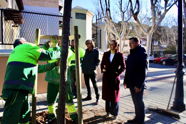 El Ayuntamiento de Albacete lanza un ambicioso Plan de reposición de 628 árboles para mejorar el medio ambiente