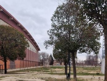 Albacete contará con una nueva Ciudad del Patinaje gracias a la aprobación del proyecto