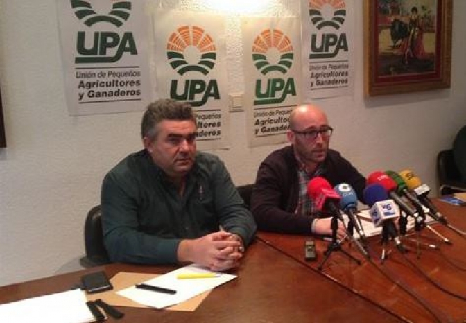 UPA CLM pide celeridad a los ganaderos para solicitar las ayudas para razas autóctonas y pastoreo