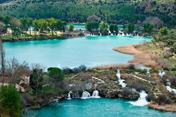 Un incendio en un camping de Ossa de Montiel afecta al arbolado y quema una cabaña de madera