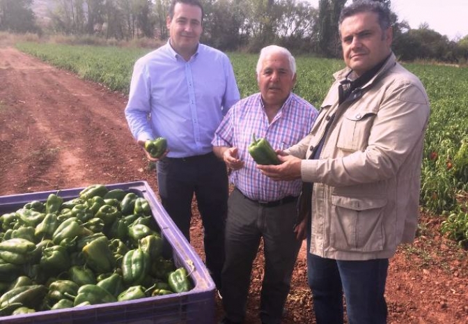 Junta de Castilla-La Mancha y Ayuntamiento de Alcaraz promueven un proyecto de ampliación del regadío para la horticultura