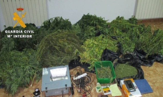 Dos vecinos de Ossa de Montiel detenidos por la Guardia Civil por cultivar cannabis