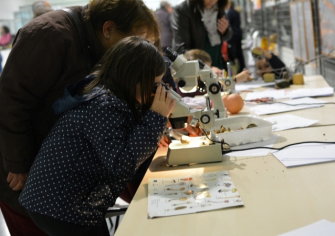 Visitas al jardín botánico, lectura de relatos breves y exposiciones en Albacete