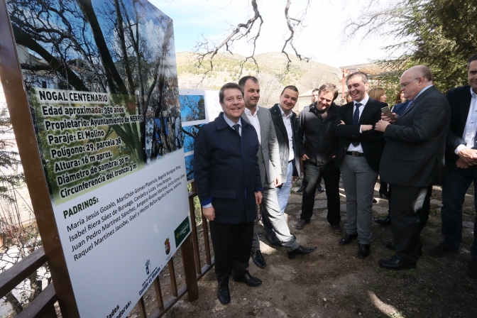 La nuez de Nerpio (Albacete) reconocida por la Junta de Castilla-La Mancha como marca colectiva de calidad agroalimentaria