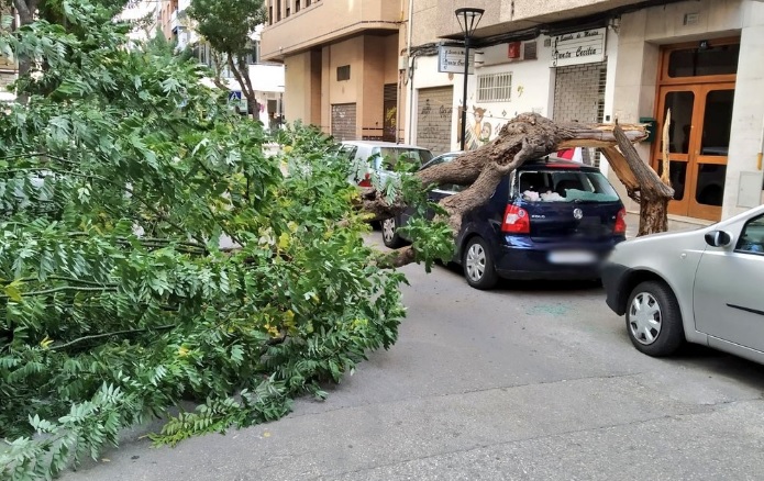 Policía Local y bomberos de Albacete tuvieron que intervenir en 44 ocasiones por los vientos de los últimos días