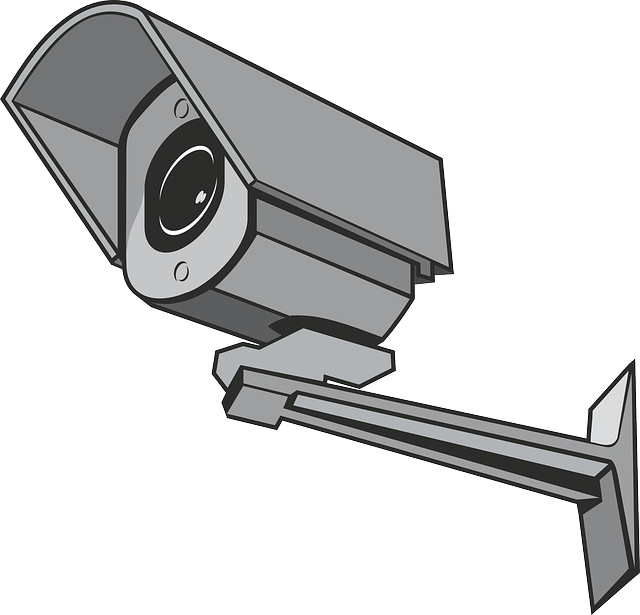 ¿Cómo elegir y colocar una cámara de vigilancia?