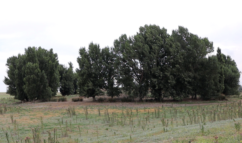 El PSOE destaca el valor y la importancia del yacimiento de la laguna de ‘El Acequión’ para Albacete