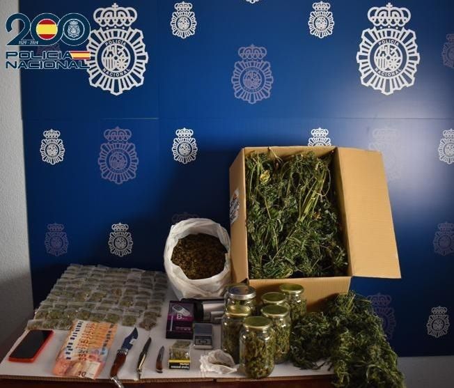 Desmantelan un centro de producción y distribución de marihuana en Tomelloso y detienen a un varón