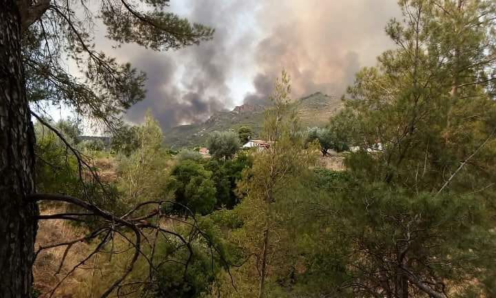 Imagen de archivo de un incendio en la sierra albaceteña.