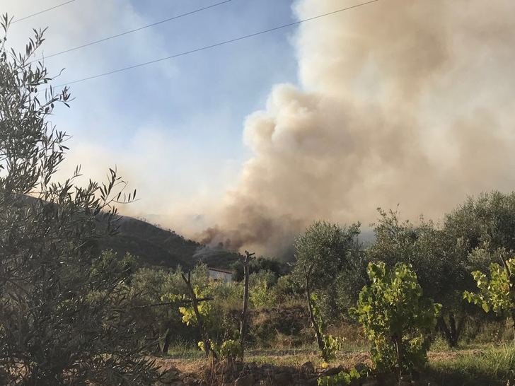 Imagen de archivo de un incendio en la Sierra del Segura.