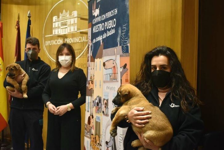 Entidades animalistas de Albacete abandonan la Mesa de la Ordenanza de Bienestar Animal tras la polémica por el pliego