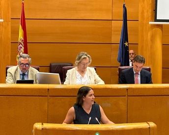 La moción de PP para recuperar la línea férrea Albacete-Cartagena no tuvo el apoyo de los socialistas en el Senado