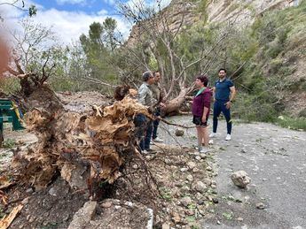 El Ayuntamiento de La Recueja solicita la declaración de zona catastrófica, tras los destrozos ocasionados por la tromba de agua, viento y granizo