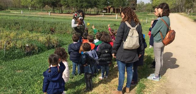 Ayudas de la Junta al transporte escolar colectivo para programas de educación ambiental en Castilla-La Mancha