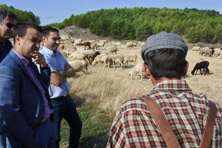 3.500 agricultores y ganaderos en zonas de montaña de Castilla-La Mancha reciben más de 5,4 millones de euros en ayudas