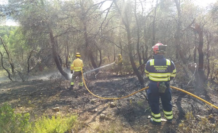 Imagen del incendio en un bosque de Almansa.