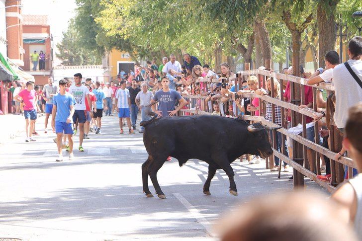 Herido un hombre por asta de toro durante los encierros de Almodóvar del Campo (Ciudad Real)