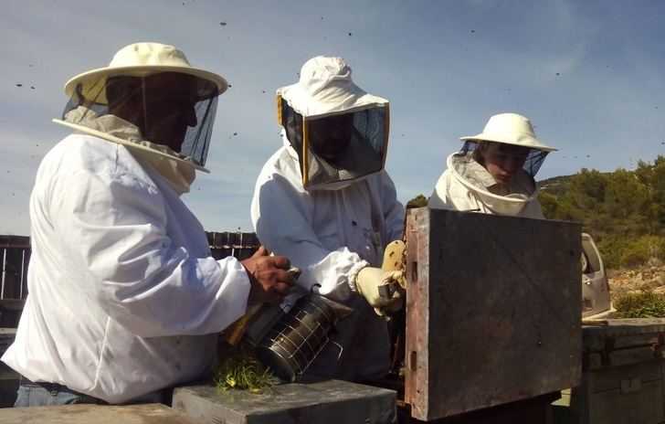 Los apicultores de Albacete prevén un mal 2021, acuciados por la varroa, falta de tratamientos, bajos precios y mortandad