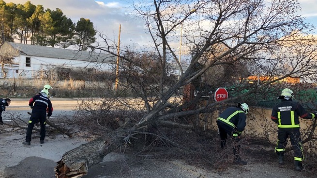Los bomberos de Albacete, que tuvieron mucho trabajo, retirando un árbol en la carretera de Jaén.