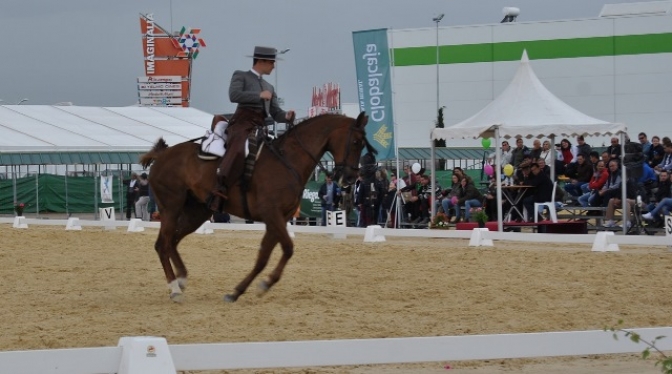 Expovicaman 2016. El jinete Amador Martín, con el caballo ‘Indiano’, gana el Concurso Nacional de Doma Vaquera