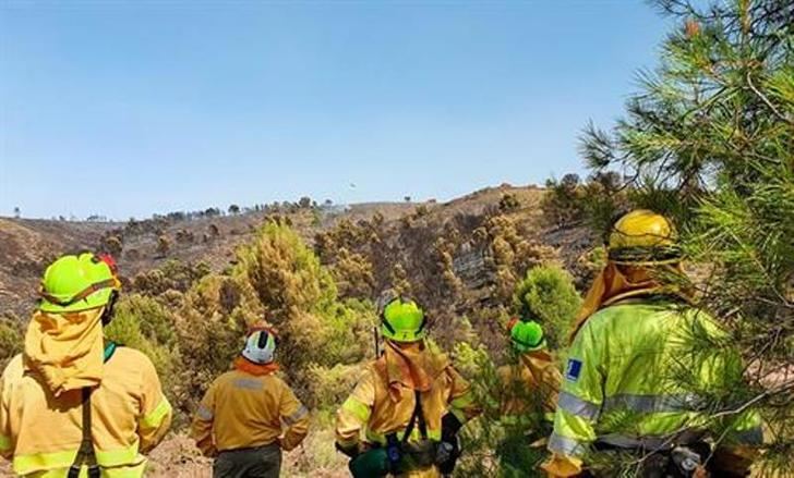 La superficie afectada por incendios en Castilla-La Mancha cae un 82% con un total de 87 fuegos registrados