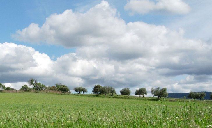 Castilla-La Mancha ha abonado ya 555 millones de euros de ayudas de la PAC
