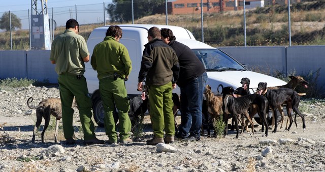 El Tribunal Constitucional admite a trámite el recurso contra la ley de caza de Castilla-La Mancha