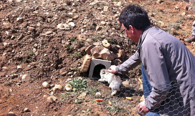 Convocatoria de ayudas de la Junta de Castilla-La Mancha para la instalación de mallas para conejos