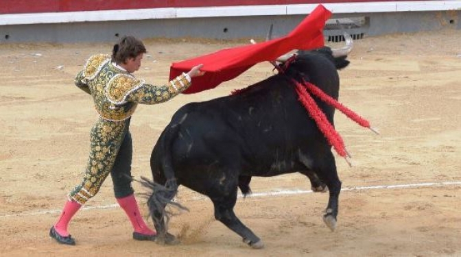 Efe / Redacción / Emilio Sánchez / Imágenes Nano