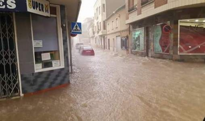 Graves consecuencias para los cultivos vid, alfalfa y brócoli tras la tormenta que azotó Tarazona y Madrigueras