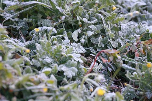 Castilla-La Mancha registra 14 incidencias por hielo y nieve en la madrugada de este miércoles