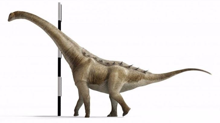 Descubren en Cuenca al Qunkasaura pintiquiniestra, nueva especie de dinosaurio gigante de hace 75 millones de años