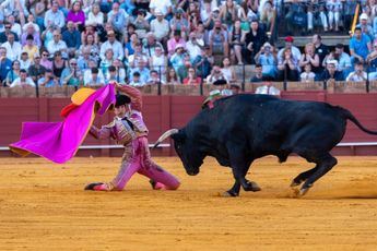 C-LM mantiene su intención de crear un galardón taurino, tras oficializar el BOE la supresión del Premio de Tauromaquía