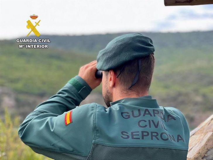 La Guardia Civil detecta más de 30 infracciones cinegéticas en Cuenca por violaciones sanitarias