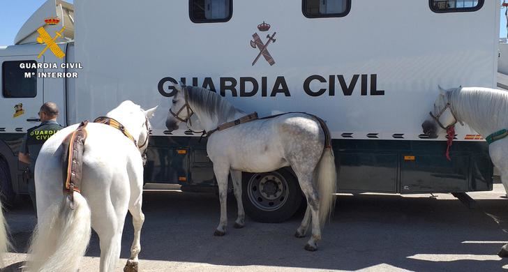 La Guardia Civil participa este año en Expovicaman de Albacete, la Feria Ganadera de Castilla-La Mancha