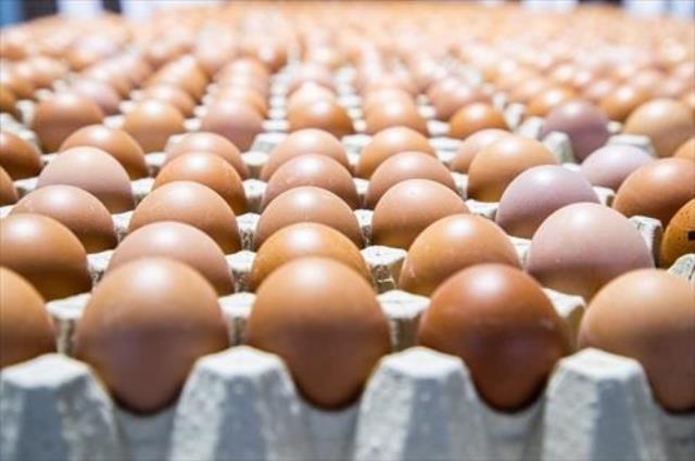 Castilla-La Mancha, la mayor productora de huevos de España y de las regiones que menos consume per cápita
