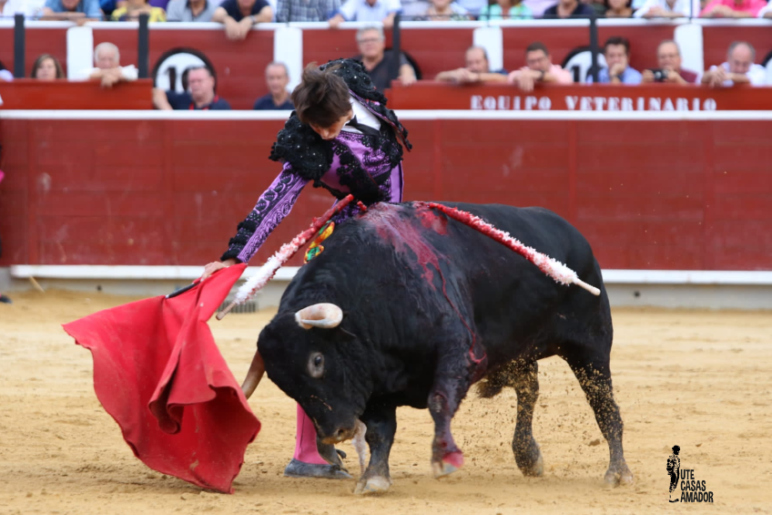 Roca Rey: “Albacete se podría decir que es una feria de primera por muchas cosas, pero, también, por la promoción que se hace de la Fiesta”