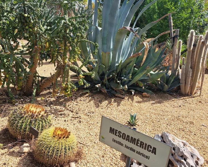 Jardín Botánico. Albacete, en el mapa de la conservación vegetal