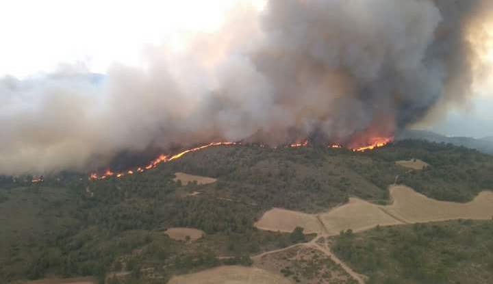 Gobierno gallego colabora con la UCLM en el estudio del impacto del incendio de Liétor (Albacete)
