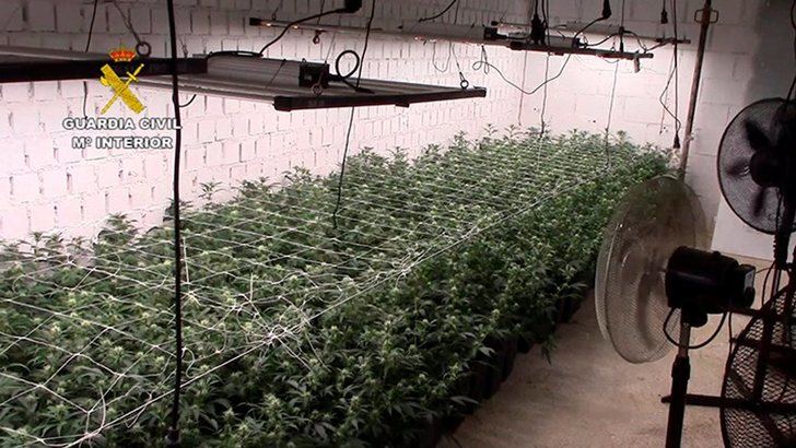 Desmantelada en Toledo la plantación subterránea de más capacidad de producción de marihuana
