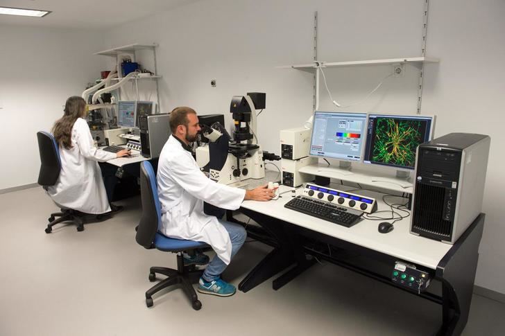 El Hospital de Parapléjicos de Toledo oferta la cuarta edición del curso de Microscopía