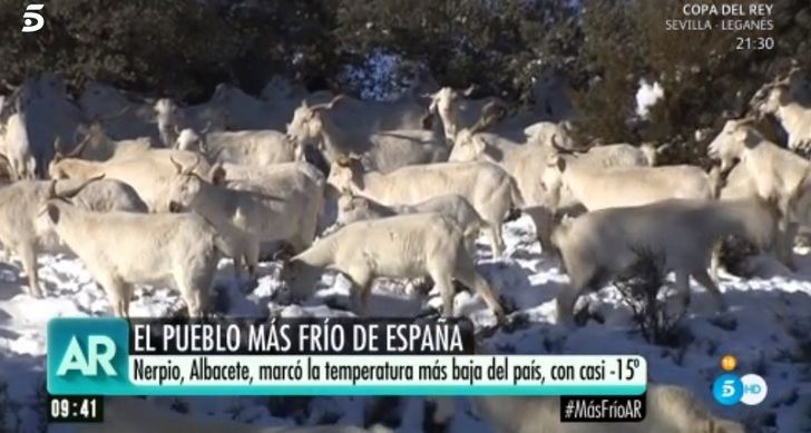 Momento del reportaje sobre el frío de Nerpio en TeleCinco