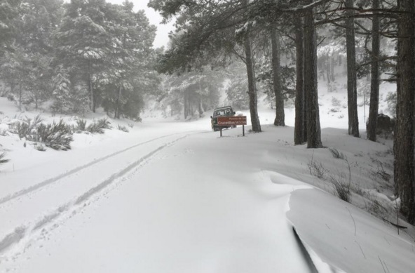 La Junta tiene previstas 1.100 toneladas de sal para hacer frente al hielo o la nieve en las carreteras de Albacete
